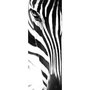 P01 1206x456