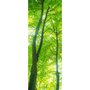 P11 1206x456