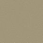 25 - s31 champagne metallic
