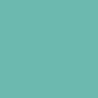 K5 - RAL 6027 LIGHT GREEN matt