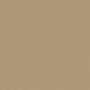 L1 - S75 LIGHT GOLD metallic