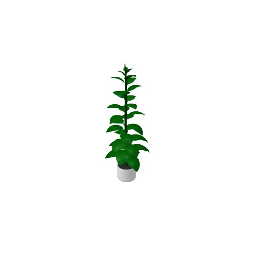 Allgemeine Gegenstände - Innenraum / Blume / Ficus - (497x556x1428)