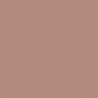 Terracotta faded 0299